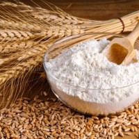 Natural Wheat Flour, Wheat Grain, Wheat Flour Ready For Shipping