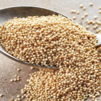 Top Quality Amaranth Grains