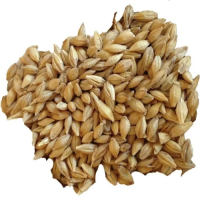 Hulled Barley Wholesale Good Quality Animal Feed Barley Seeds at Factory Price