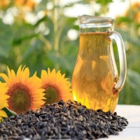 Sun Flower Oil / Refined Sunflower Oil/High Quality Refined Sun Flower Oil for Sale