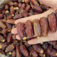 Premium Dried Date Palm for Sale