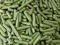 Alfalfa Pellet for Feed, Alfalfa Hey, Hey Pellets