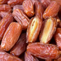 Natural Dried Date Palms Date Palm Fruit for Sale