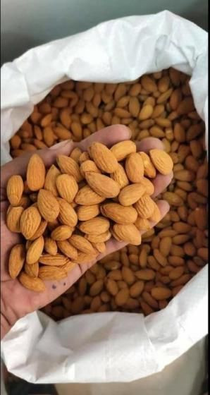 Almonds, Walnuts, Cashews, Peanuts, Almond Kernel Nuts, Almond Nuts