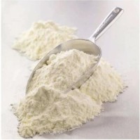 Full Cream Milk Powder 25kg Bags Supplier / Skim Milk Powder