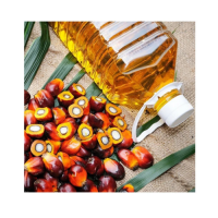 Best Price Palm Oil Factory Supply Wholesale Red Palm Oil Buy Premium Grade in Stock Fast Delivery Refined Palm Oil for
