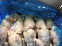 Frozen Halal Chicken and Chicken Parts Bulk Quantity Ready for Export