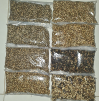 Coffee Beans, Raw Coffee Bean, Coffee Powder, Beans Coffee