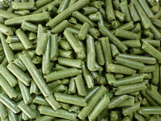 Organic Alfalfa Hay,  Alfalfa Hay Pellets , Dried Alfalfa Hay