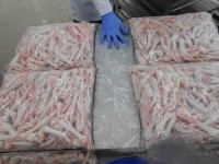 Frozen Halal Chicken and Chicken Parts Bulk Quantity Ready for Export